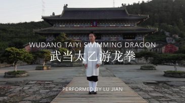 Taiyi Swimming Dragon Lu Jian