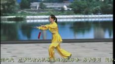Sifu Amin Wu Yang Style 32 Form Sword